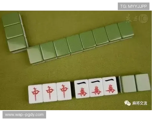 PG377麻将胡了入口下载官方渠道，保障账号安全和游戏公平，畅享优质麻将娱乐